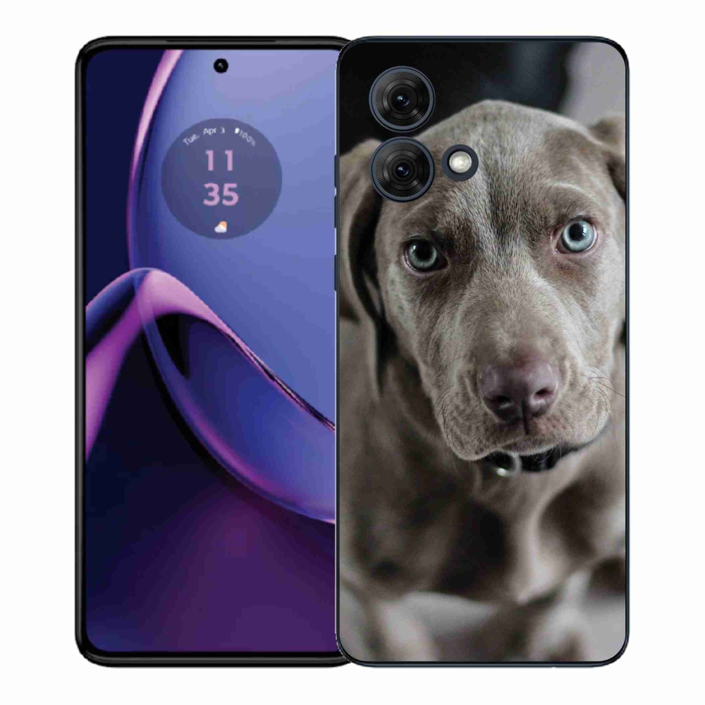 Gelový kryt mmCase na Motorola Moto G84 5G - výmarský ohař
