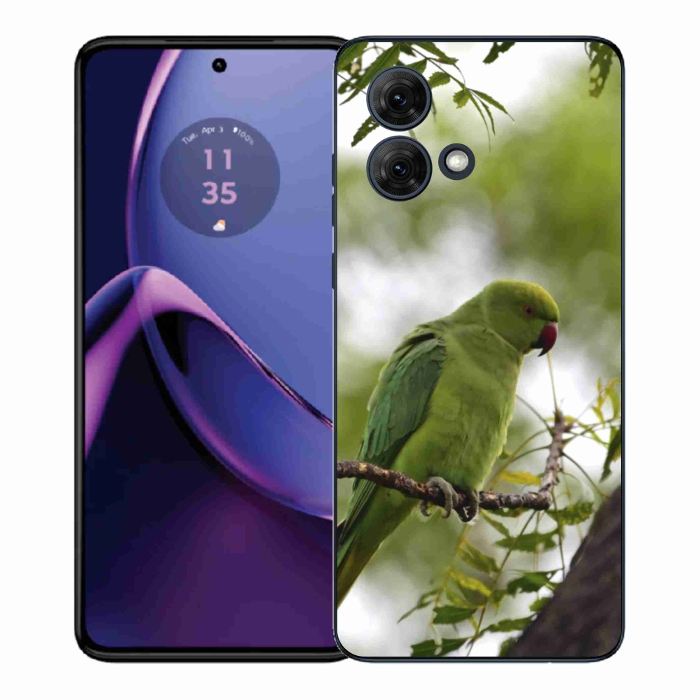Gelový kryt mmCase na Motorola Moto G84 5G - zelený papoušek