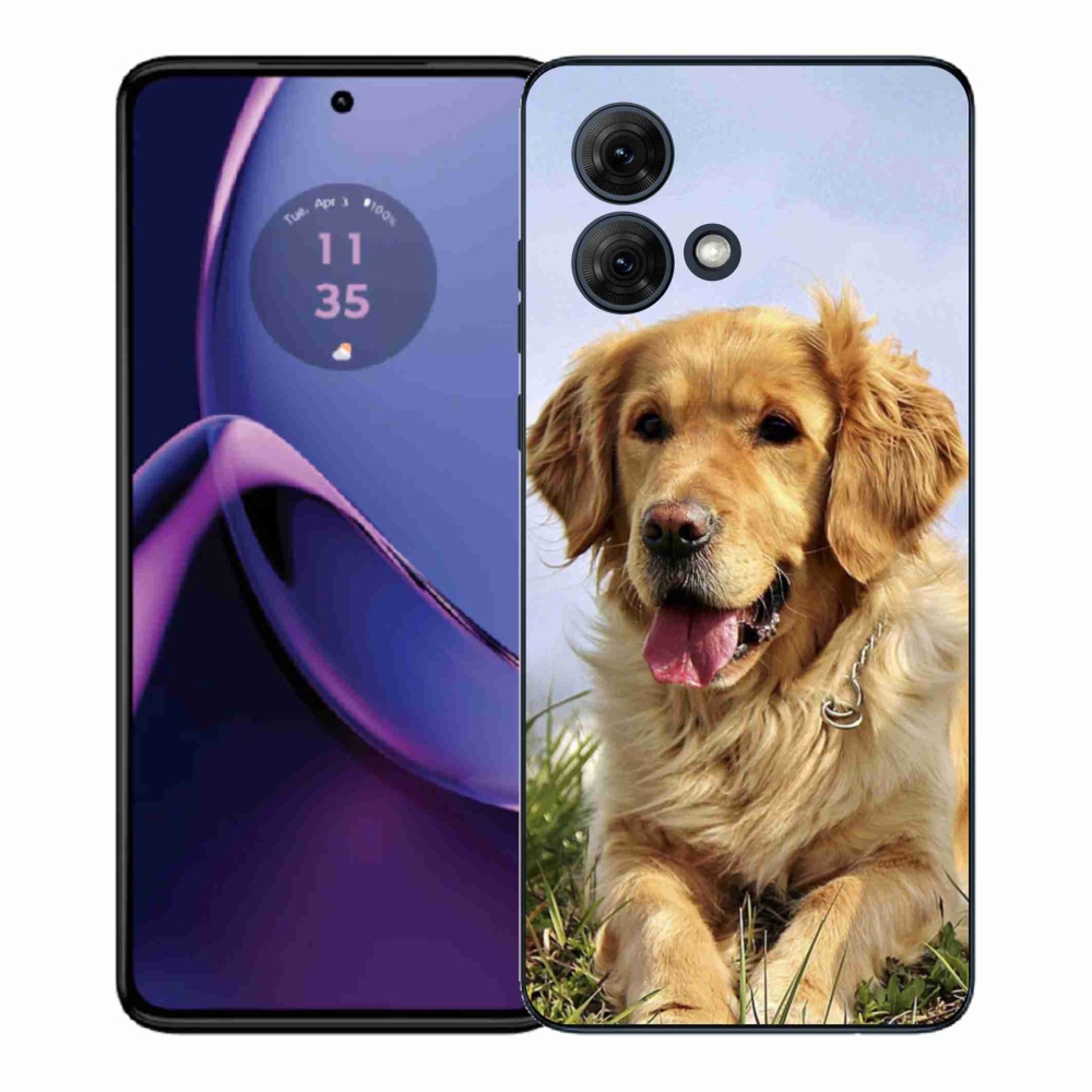 Gelový kryt mmCase na Motorola Moto G84 5G - zlatý retrívr