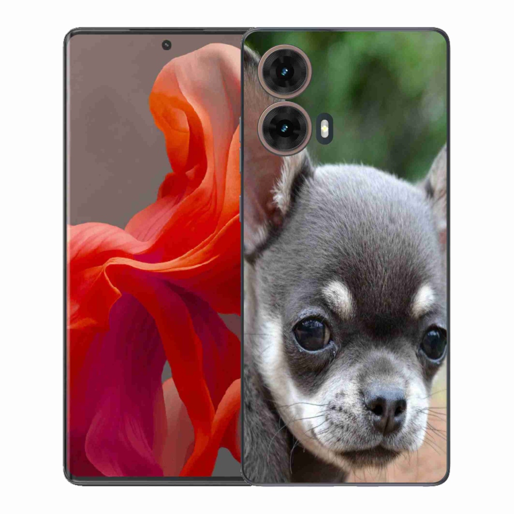 Gelový kryt mmCase na Motorola Moto G85 5G - čivava