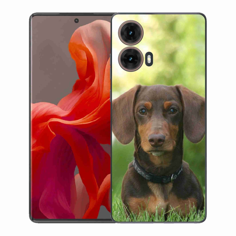 Gelový kryt mmCase na Motorola Moto G85 5G - hnědý jezevčík