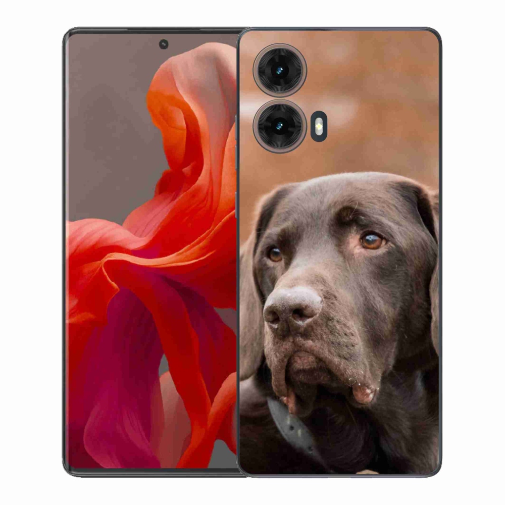 Gelový kryt mmCase na Motorola Moto G85 5G - hnědý labrador