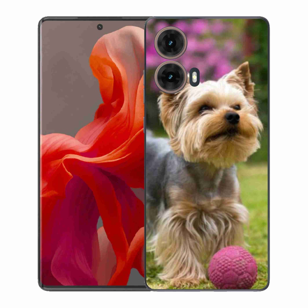 Gelový kryt mmCase na Motorola Moto G85 5G - jorkšír 4