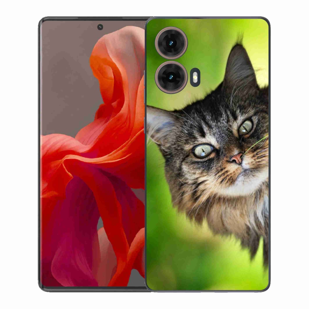 Gelový kryt mmCase na Motorola Moto G85 5G - kočka 3