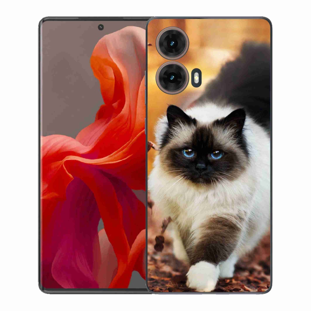 Gelový kryt mmCase na Motorola Moto G85 5G - kočka