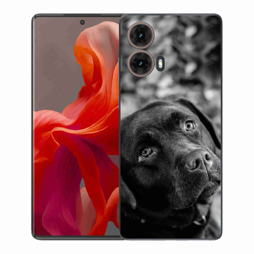 Gelový kryt mmCase na Motorola Moto G85 5G - labrador