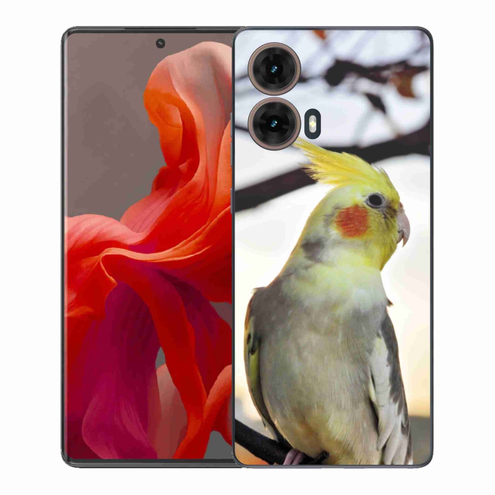 Gelový kryt mmCase na Motorola Moto G85 5G - papoušek korela