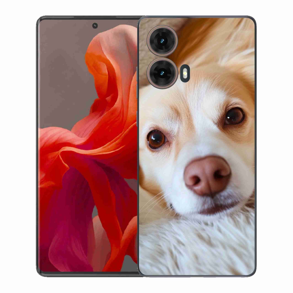 Gelový kryt mmCase na Motorola Moto G85 5G - Roztomilá čivava