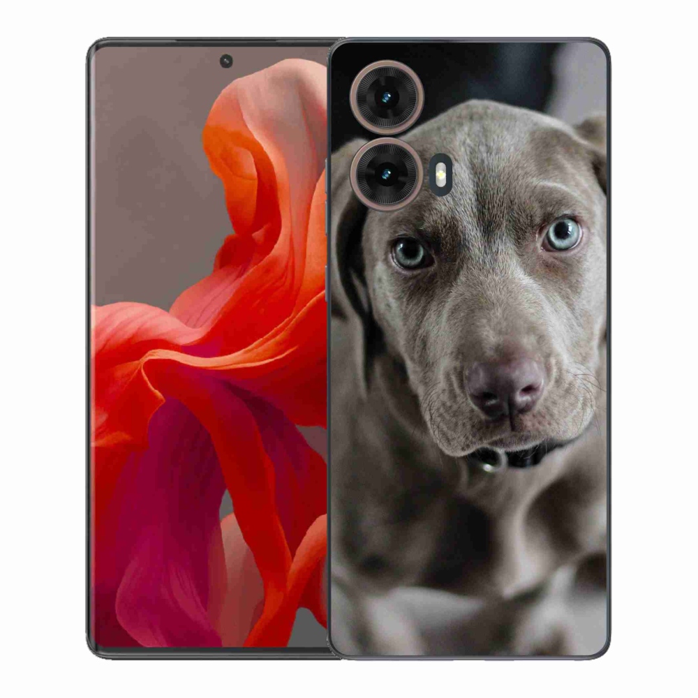 Gelový kryt mmCase na Motorola Moto G85 5G - výmarský ohař