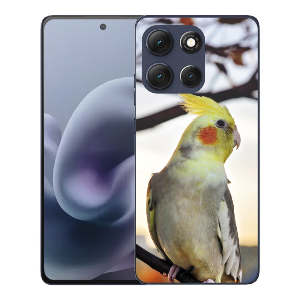 Gelový kryt mmCase na Motorola Moto G86 5G - papoušek korela