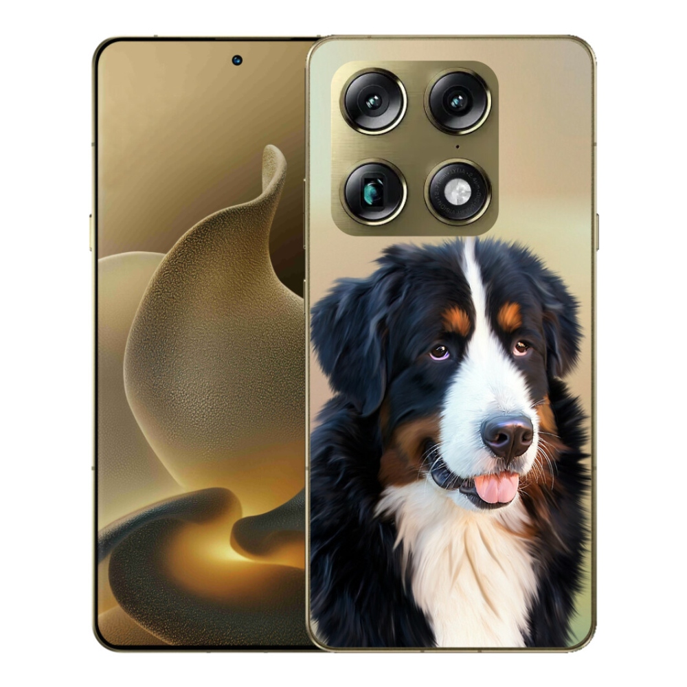 Gelový kryt mmCase na Motorola Signature - bernský salašnický pes
