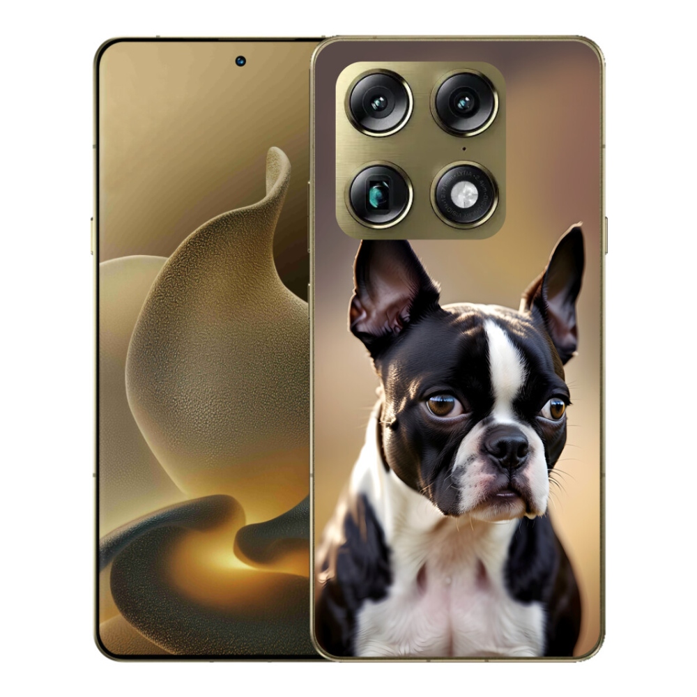 Gelový kryt mmCase na Motorola Signature - bostonský teriér