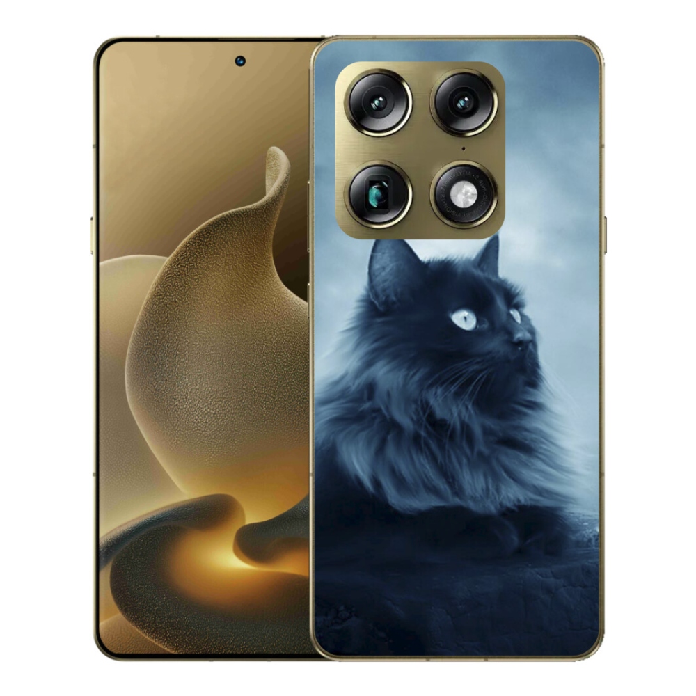 Gelový kryt mmCase na Motorola Signature - černá kočka 1