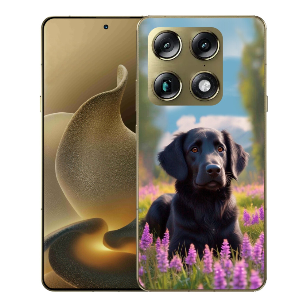 Gelový kryt mmCase na Motorola Signature - elegantní černý retrívr