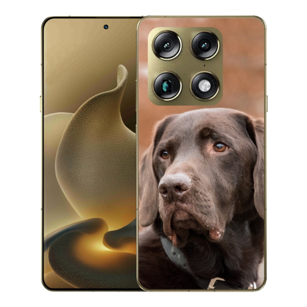 Gelový kryt mmCase na Motorola Signature - hnědý labrador