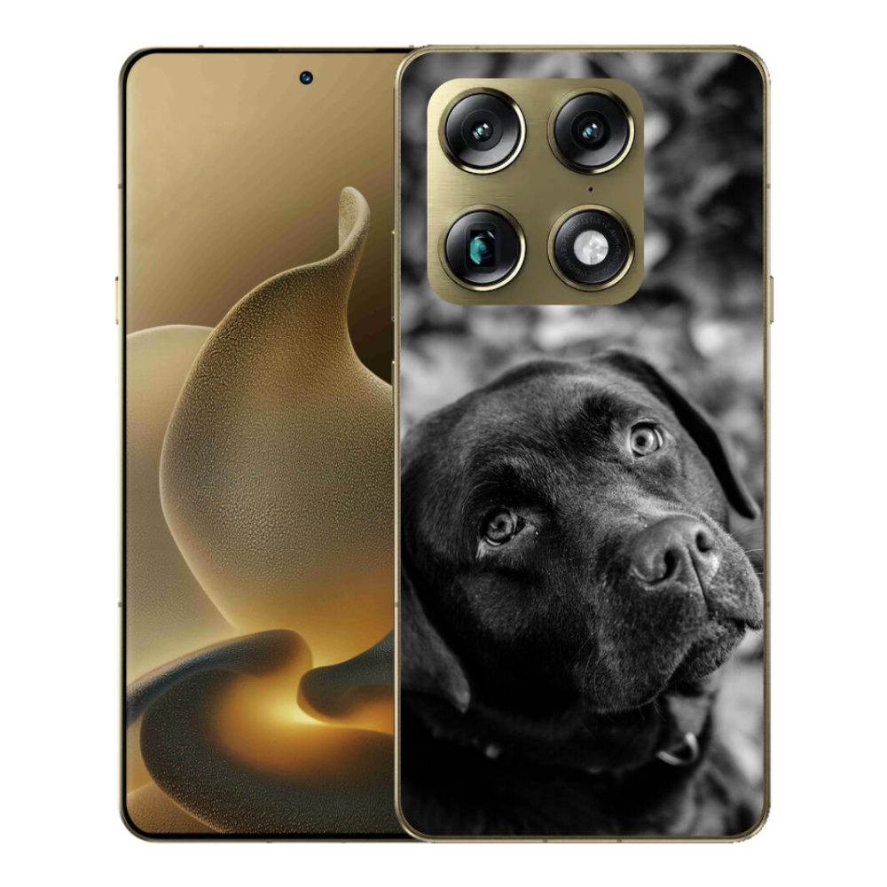 Gelový kryt mmCase na Motorola Signature - labrador