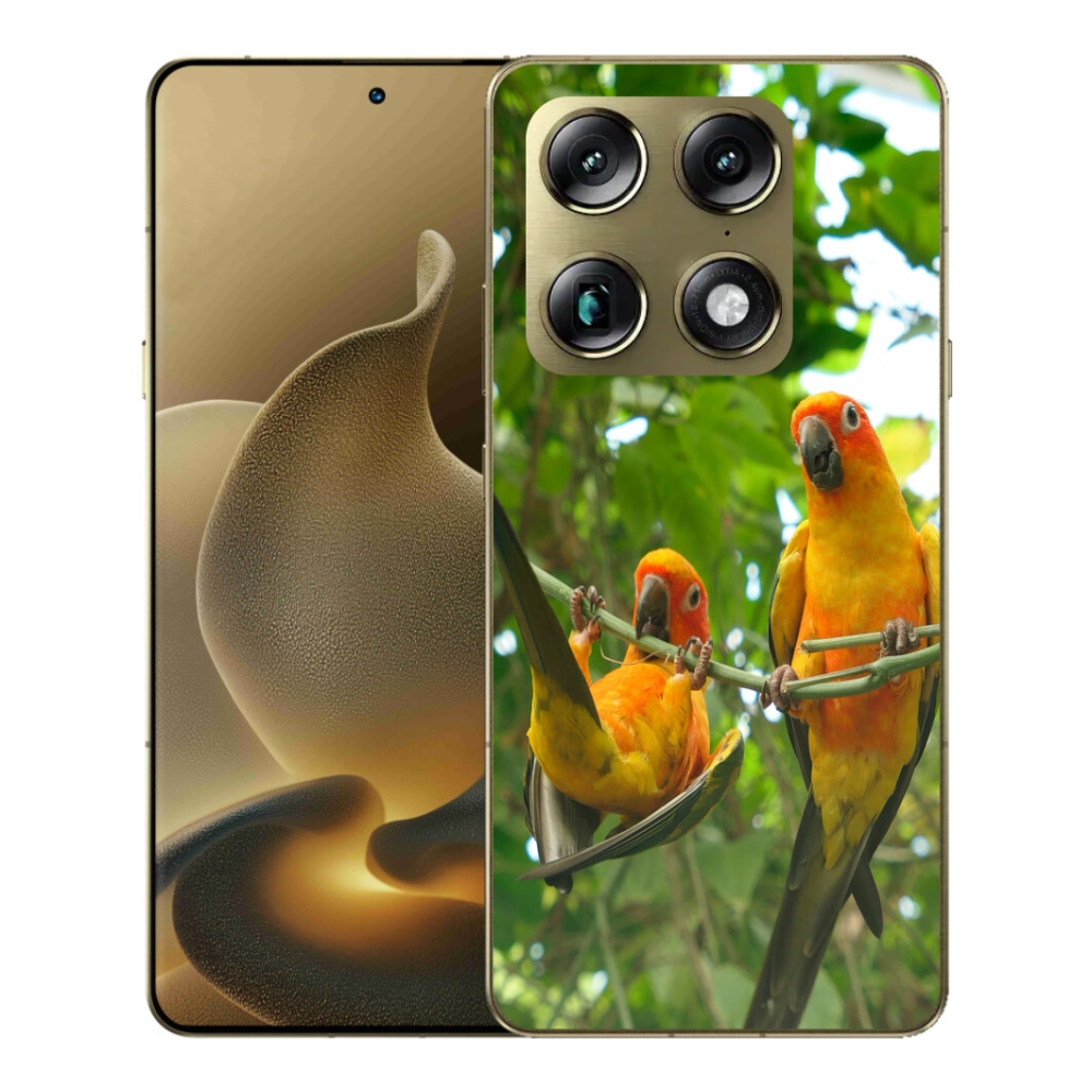 Gelový kryt mmCase na Motorola Signature - papoušci aratingy