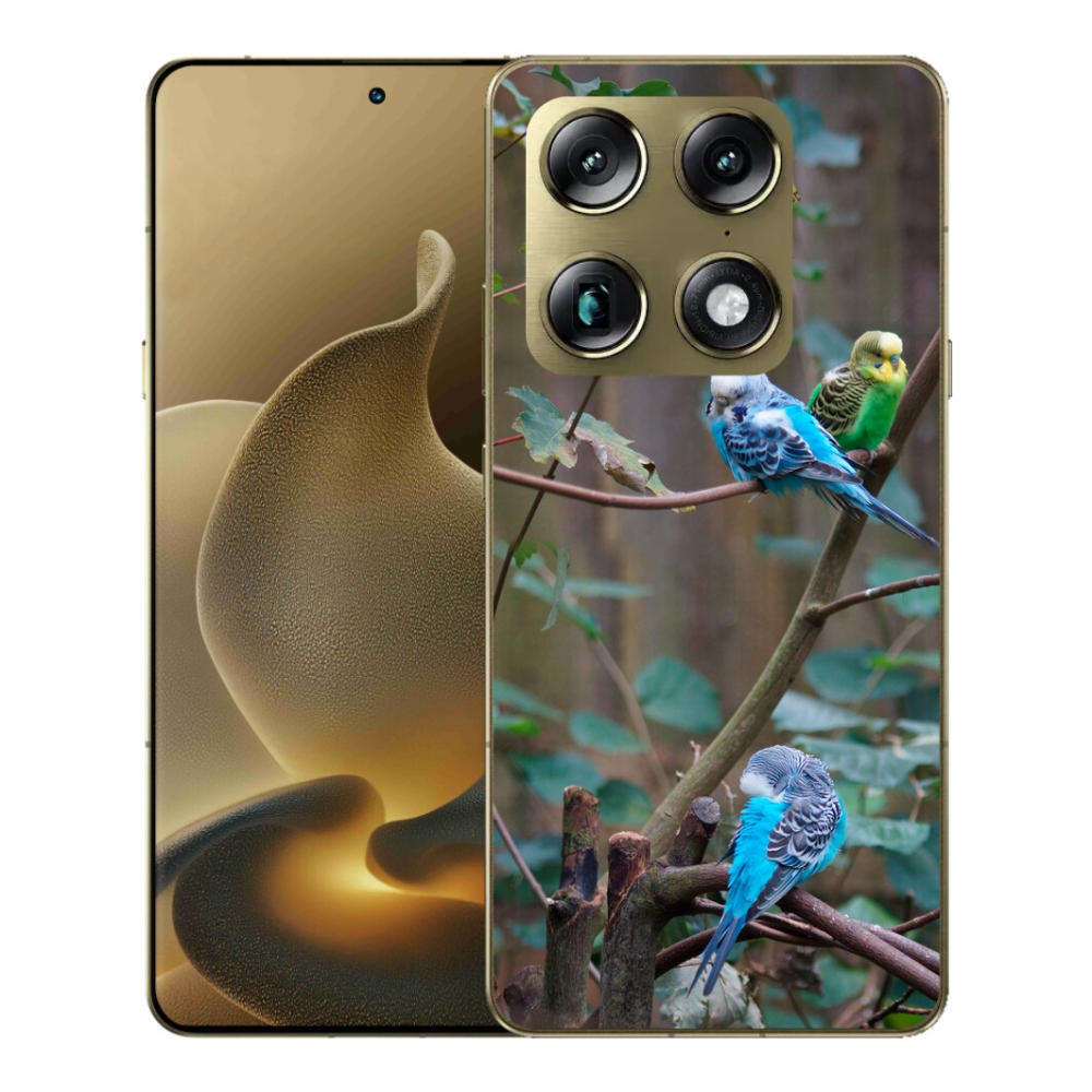 Gelový kryt mmCase na Motorola Signature - papoušci na větvi