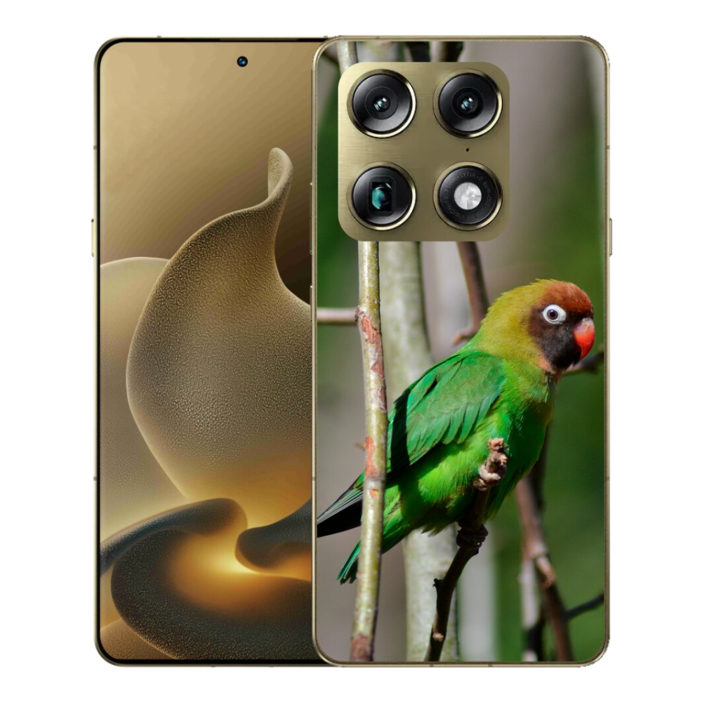 Gelový kryt mmCase na Motorola Signature - papoušek agapornis