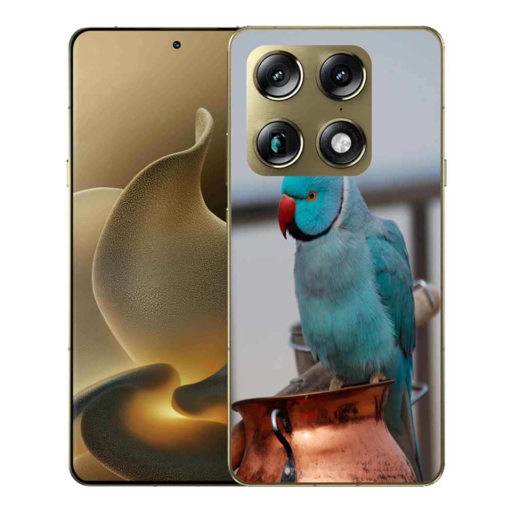 Gelový kryt mmCase na Motorola Signature - papoušek alexandr modrý