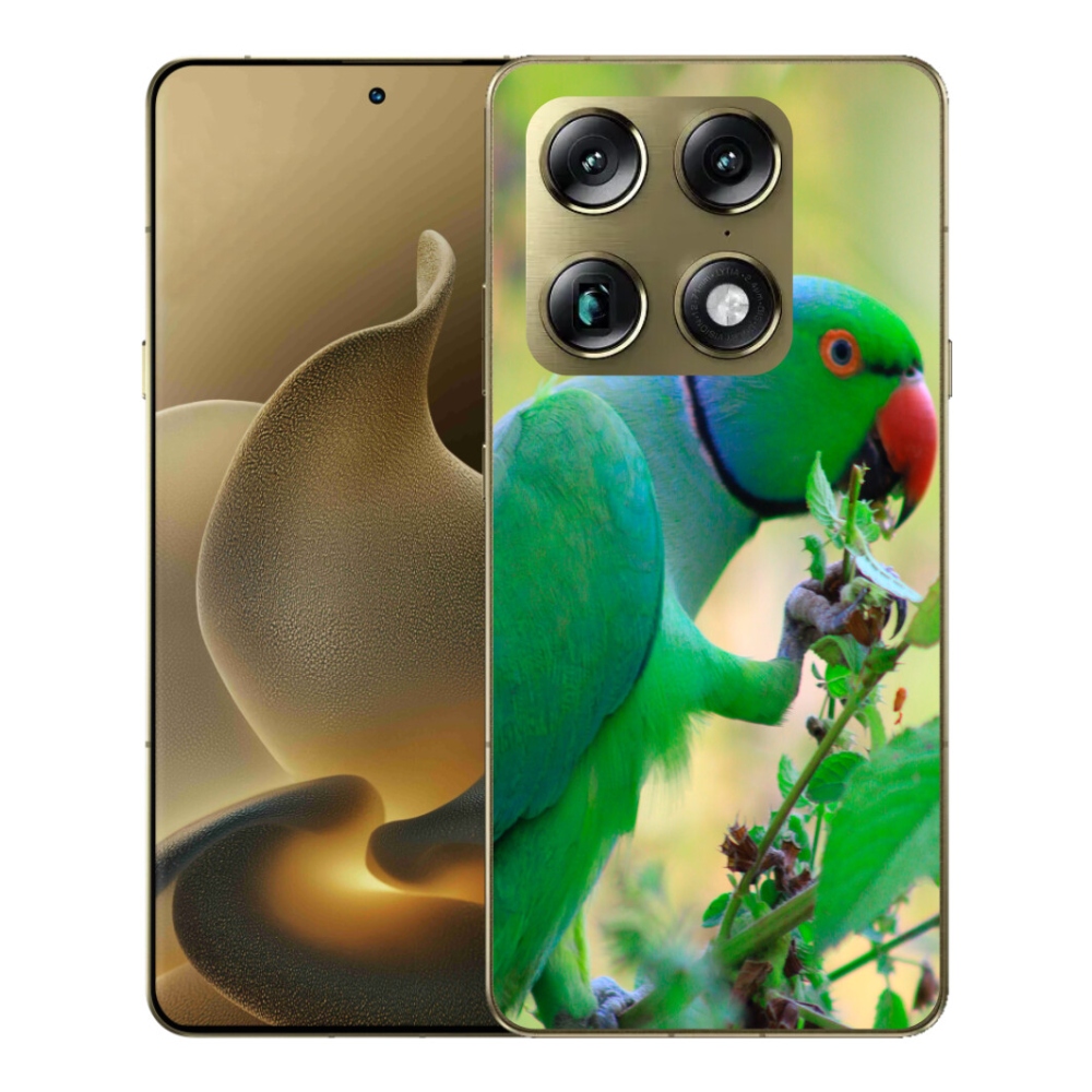 Gelový kryt mmCase na Motorola Signature - papoušek alexandr