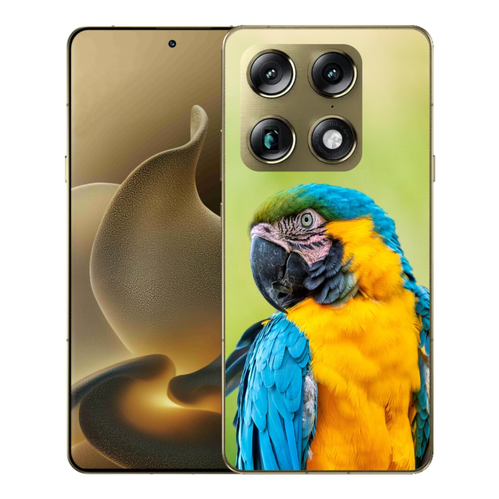 Gelový kryt mmCase na Motorola Signature - papoušek ara 2