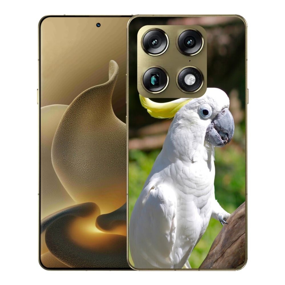 Gelový kryt mmCase na Motorola Signature - papoušek kakadu 2