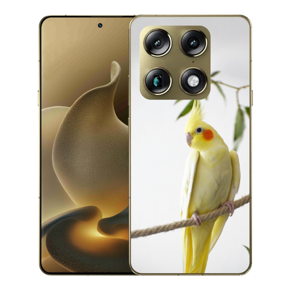 Gelový kryt mmCase na Motorola Signature - papoušek korela chocholatá