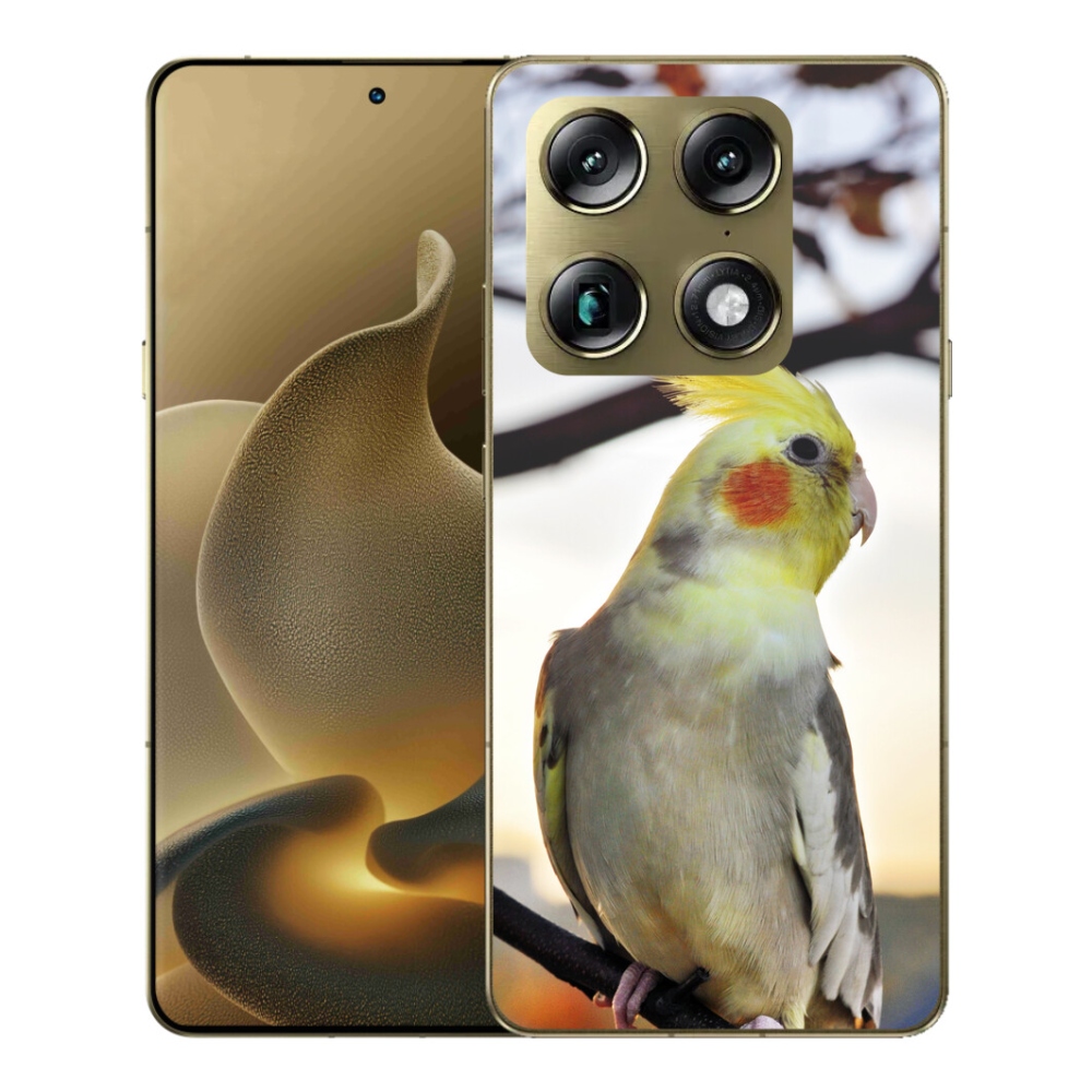 Gelový kryt mmCase na Motorola Signature - papoušek korela