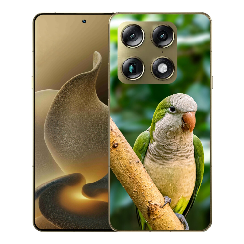 Gelový kryt mmCase na Motorola Signature - papoušek mníšek