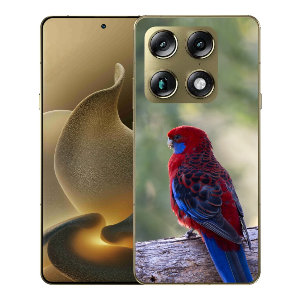 Gelový kryt mmCase na Motorola Signature - papoušek rosela