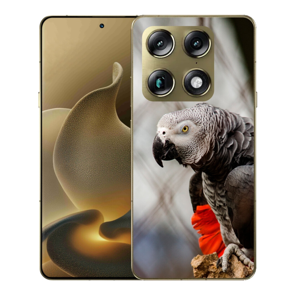 Gelový kryt mmCase na Motorola Signature - papoušek žako 3