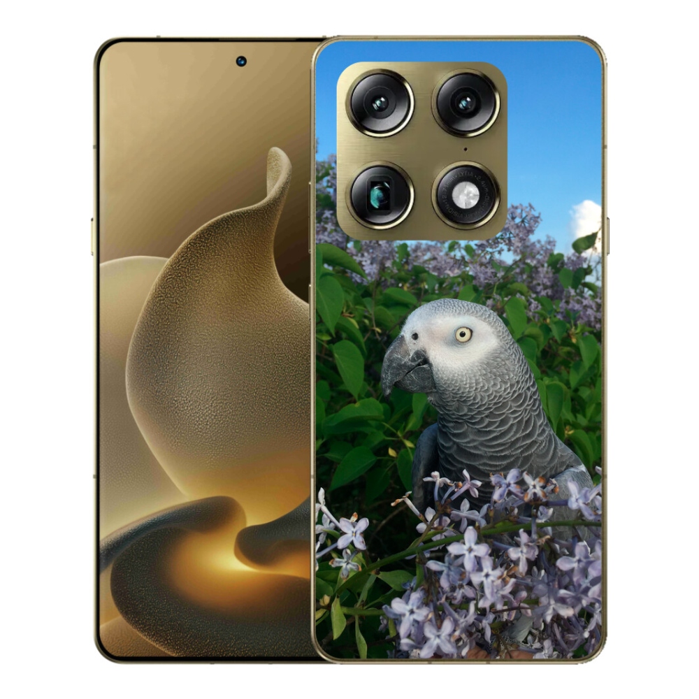 Gelový kryt mmCase na Motorola Signature - papoušek žako