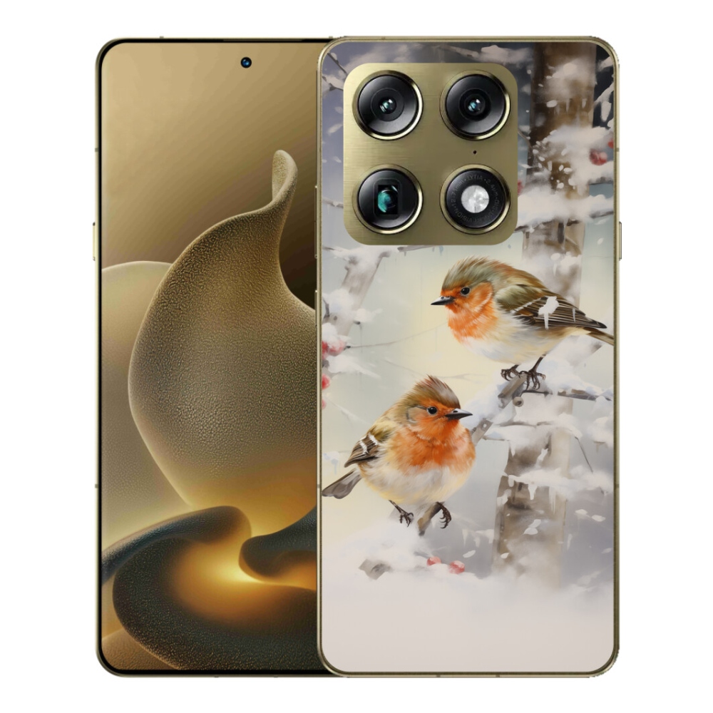 Gelový kryt mmCase na Motorola Signature - ptáčci v zimě