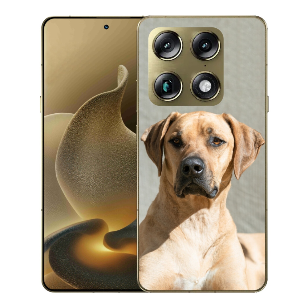 Gelový kryt mmCase na Motorola Signature - ridgeback
