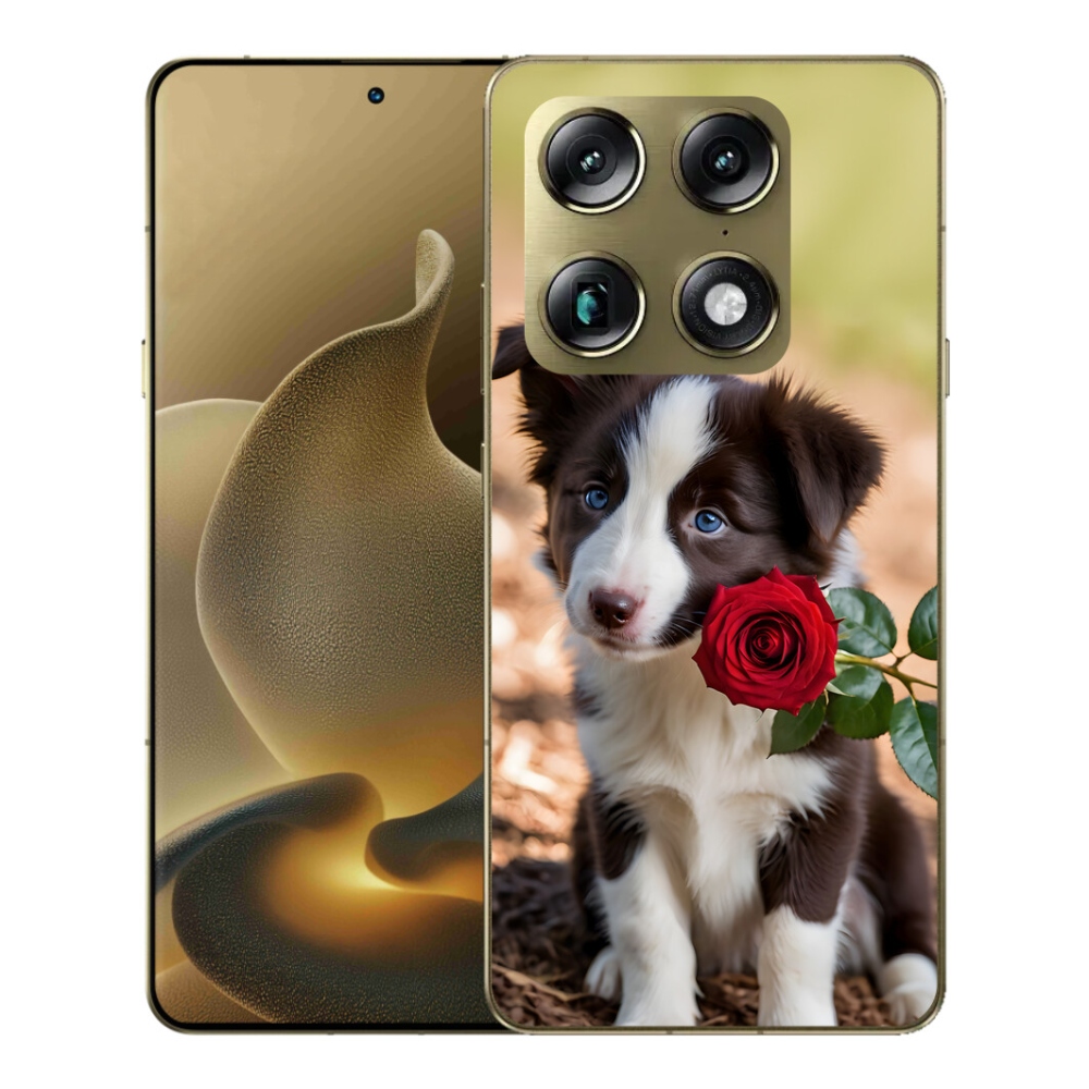 Gelový kryt mmCase na Motorola Signature - roztomilá border kolie s růží