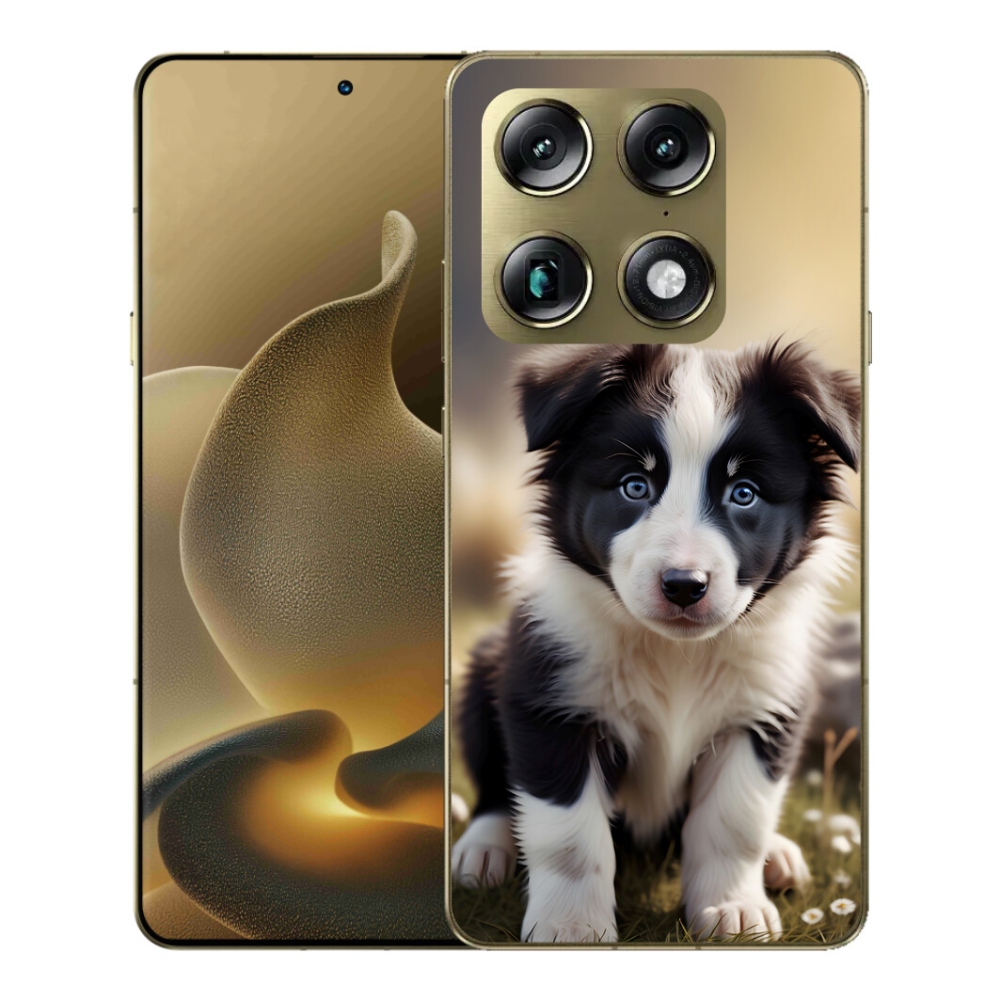 Gelový kryt mmCase na Motorola Signature - roztomilá border kolie