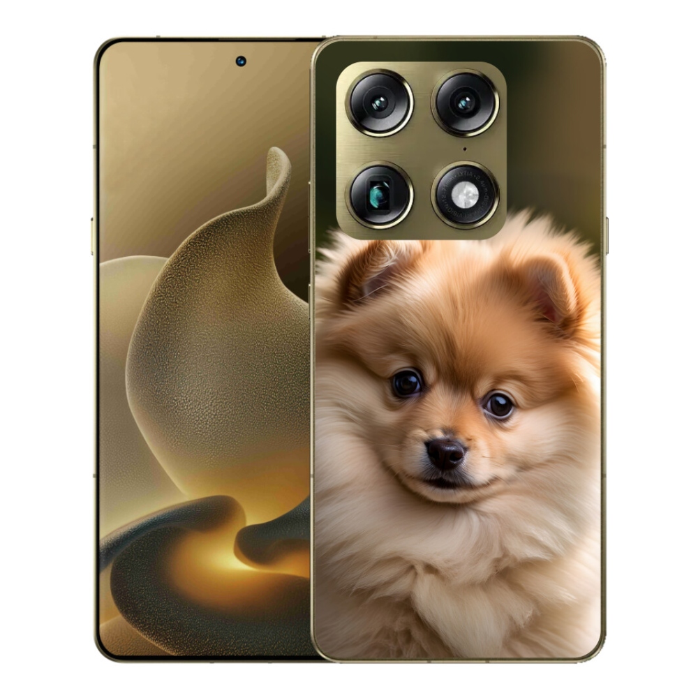 Gelový kryt mmCase na Motorola Signature - roztomilý pomeranian 2