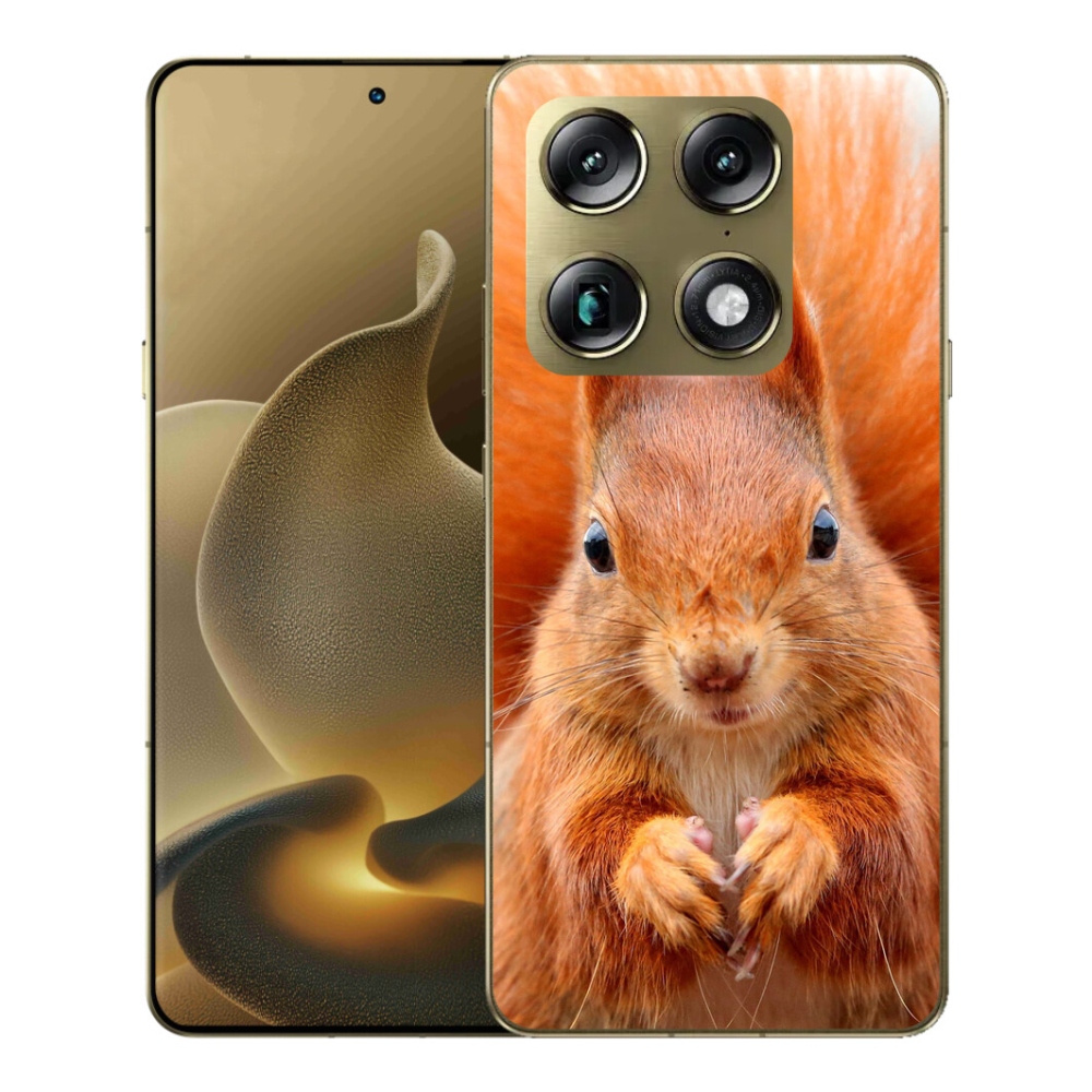 Gelový kryt mmCase na Motorola Signature - veverka