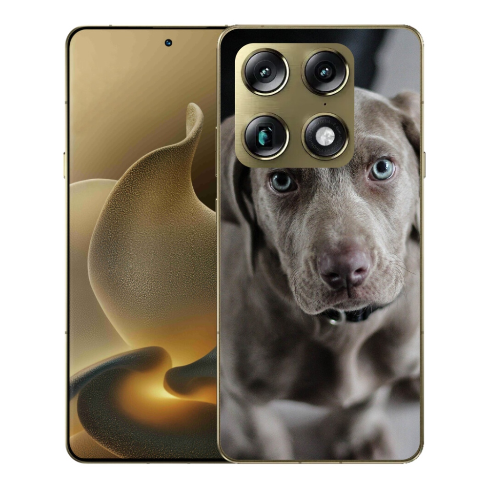 Gelový kryt mmCase na Motorola Signature - výmarský ohař