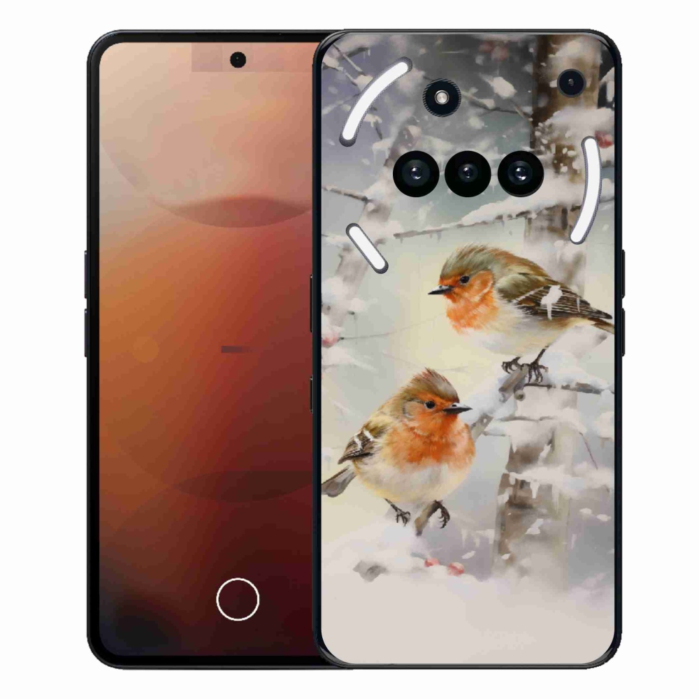 Gelový kryt mmCase na Nothing Phone (3a) - ptáčci v zimě