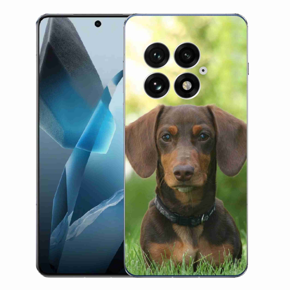 Gelový kryt mmCase na One Plus 13 - hnědý jezevčík