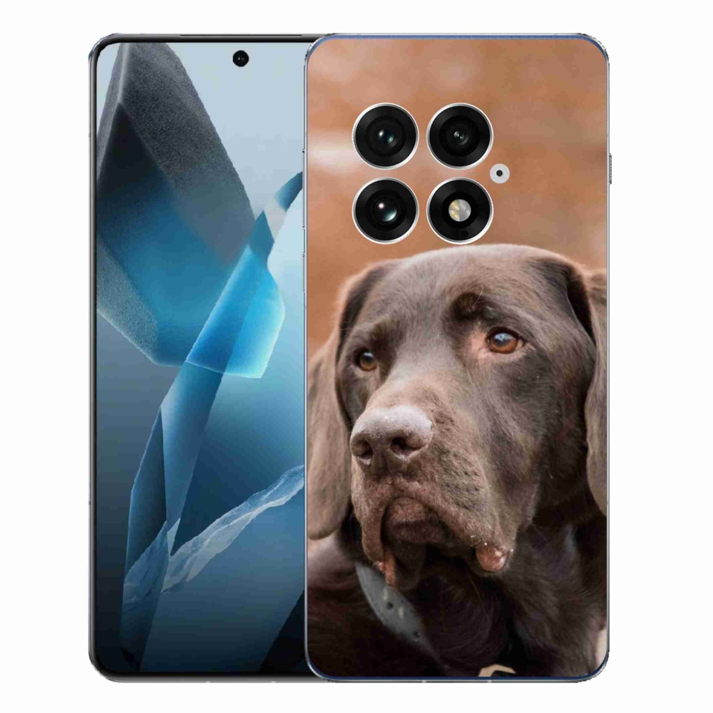 Gelový kryt mmCase na One Plus 13 - hnědý labrador