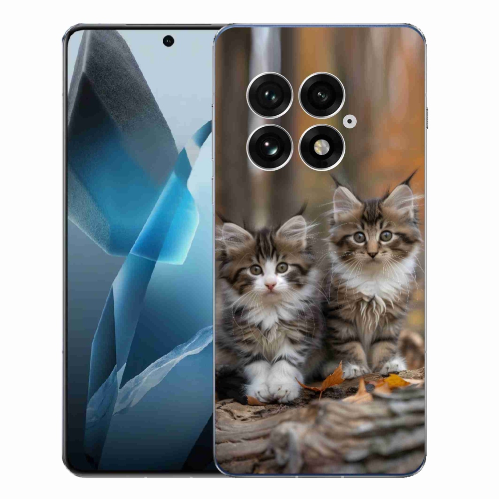 Gelový kryt mmCase na One Plus 13 - kočičí duo 3