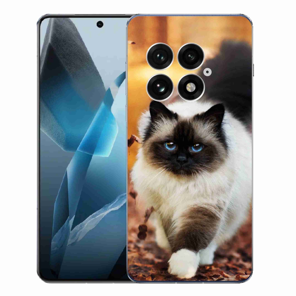 Gelový kryt mmCase na One Plus 13 - kočka