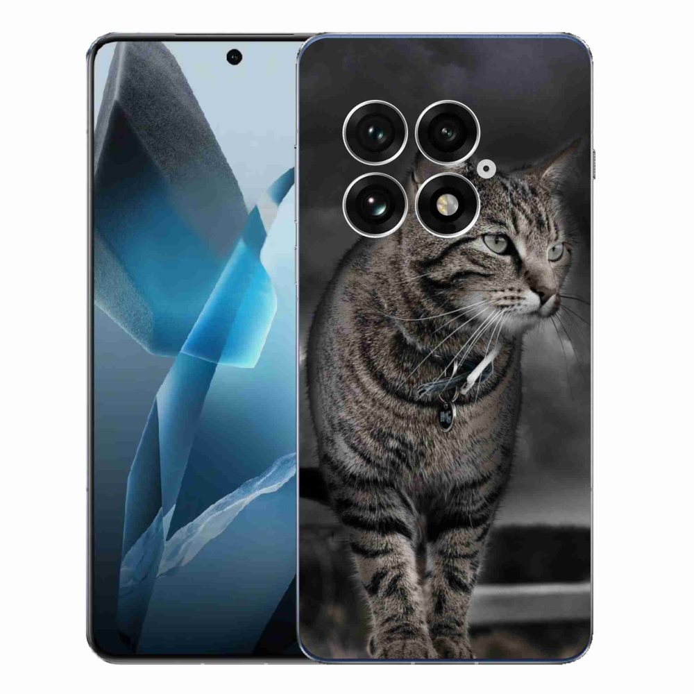Gelový kryt mmCase na One Plus 13 - kočka
