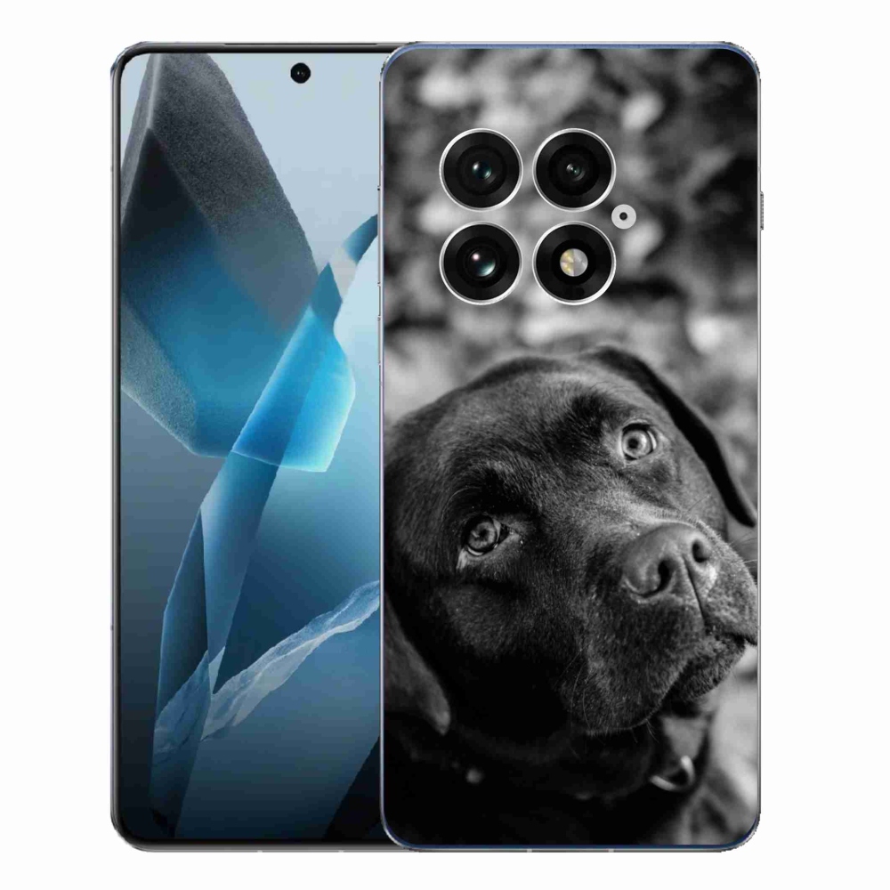 Gelový kryt mmCase na One Plus 13 - labrador