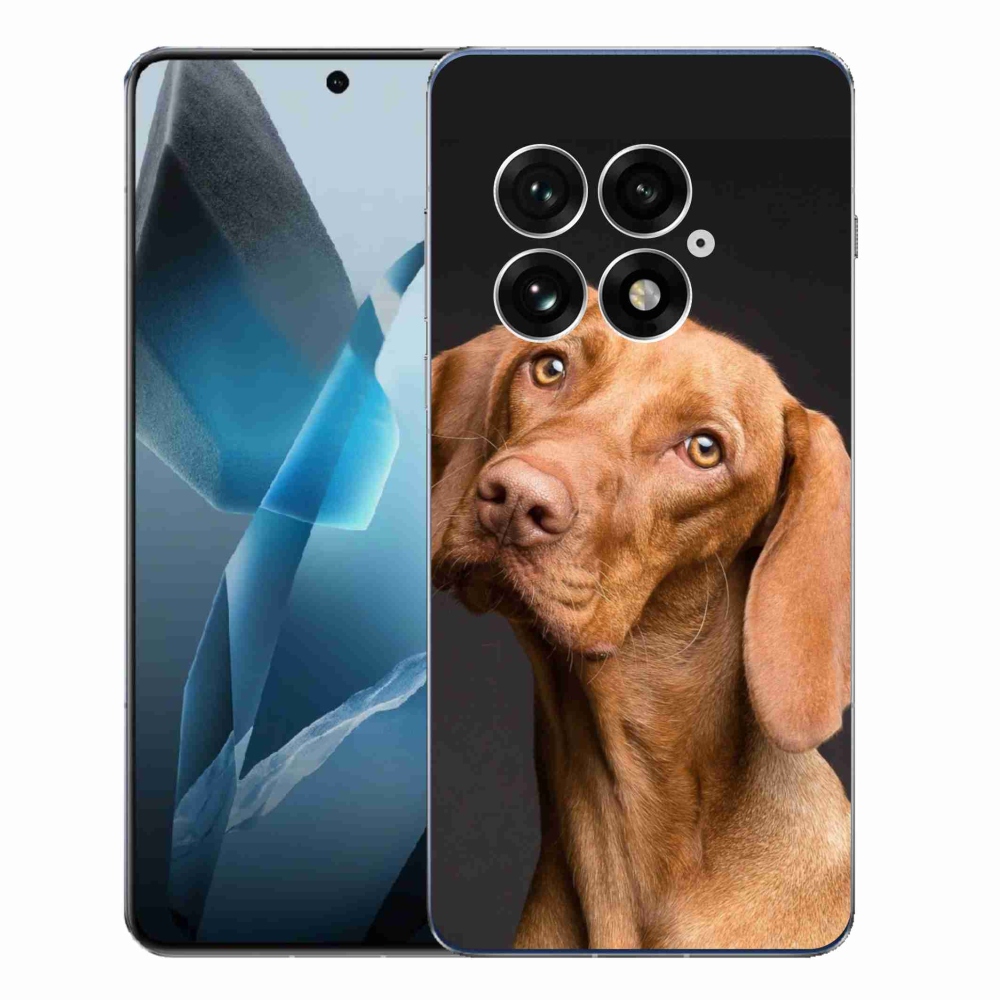 Gelový kryt mmCase na One Plus 13 - maďarský ohař