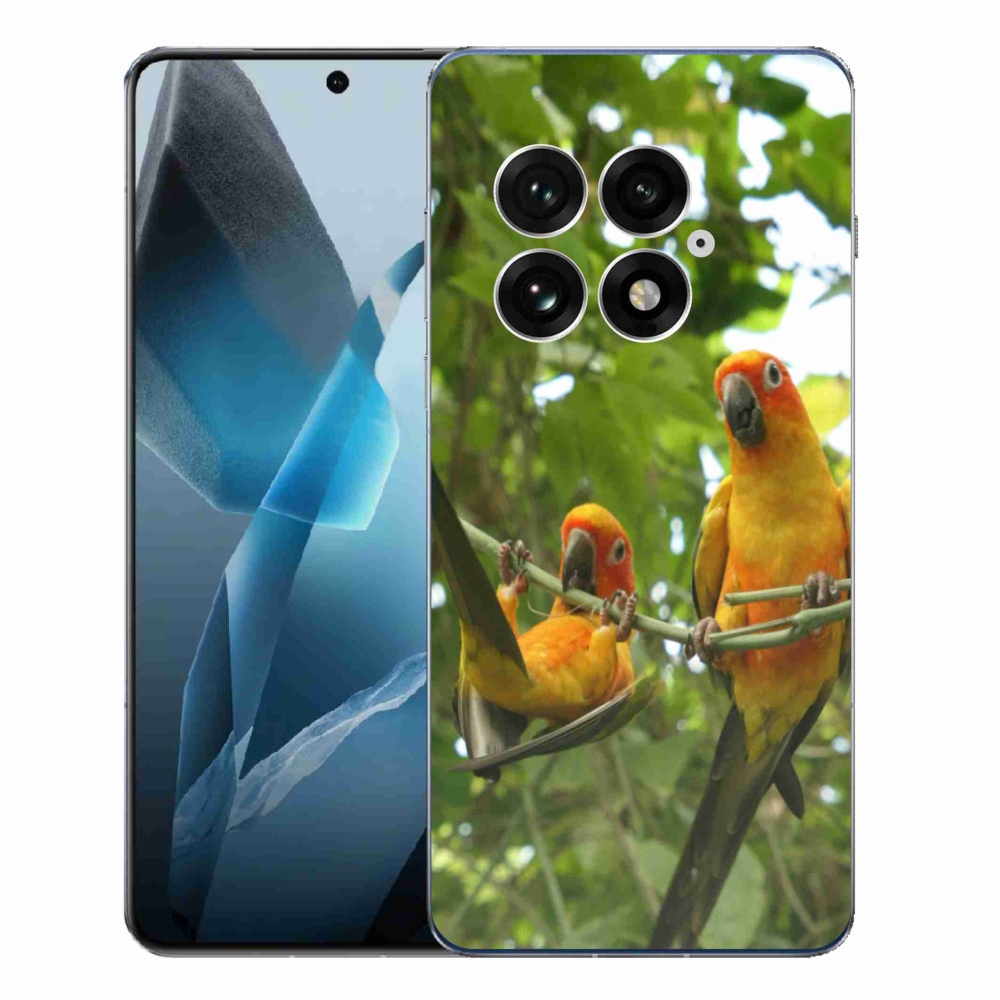 Gelový kryt mmCase na One Plus 13 - papoušci aratingy