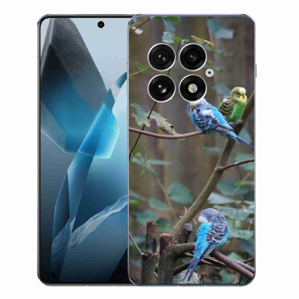 Gelový kryt mmCase na One Plus 13 - papoušci na větvi